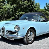 Alfa Romeo Giulia Spider - ASI TARGA ORO