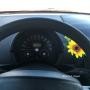 Volkswagen New Beetle 2.0 del 2000 - ASI con CRS - Bollo 50%