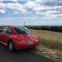 Volkswagen New Beetle 2.0 del 2000 - ASI con CRS - Bollo 50%