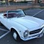 Mercedes 230 SL W113 