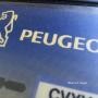 Peugeot 206 GT (WRC - numerata) Iscritta ASI con CRS